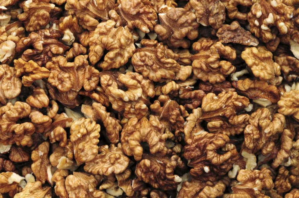 USA, Oregon, Portland Close-up of walnut meats